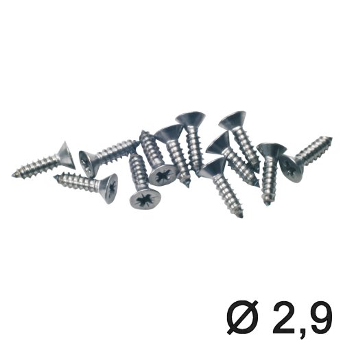 Senkkopf 2,9