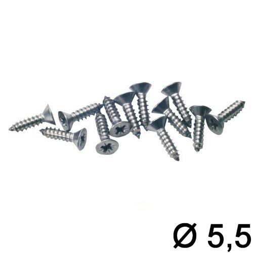 Senkkopf 5,5