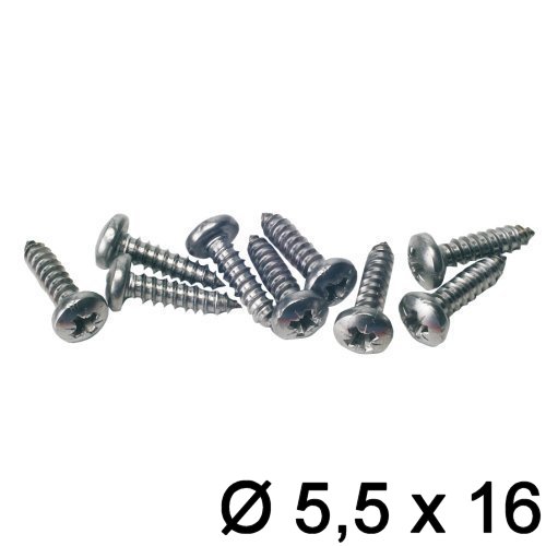 Zylinderkopf 5,5 (Knipping DIN 7981)